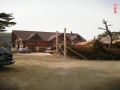 gate pine 02.jpg